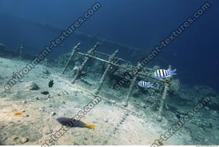 Photo Reference of Shipwreck Sudan Undersea 0024
